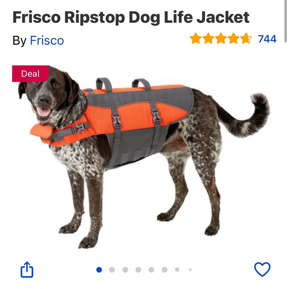 Orange and grey dog life jacket flotation device for swimming